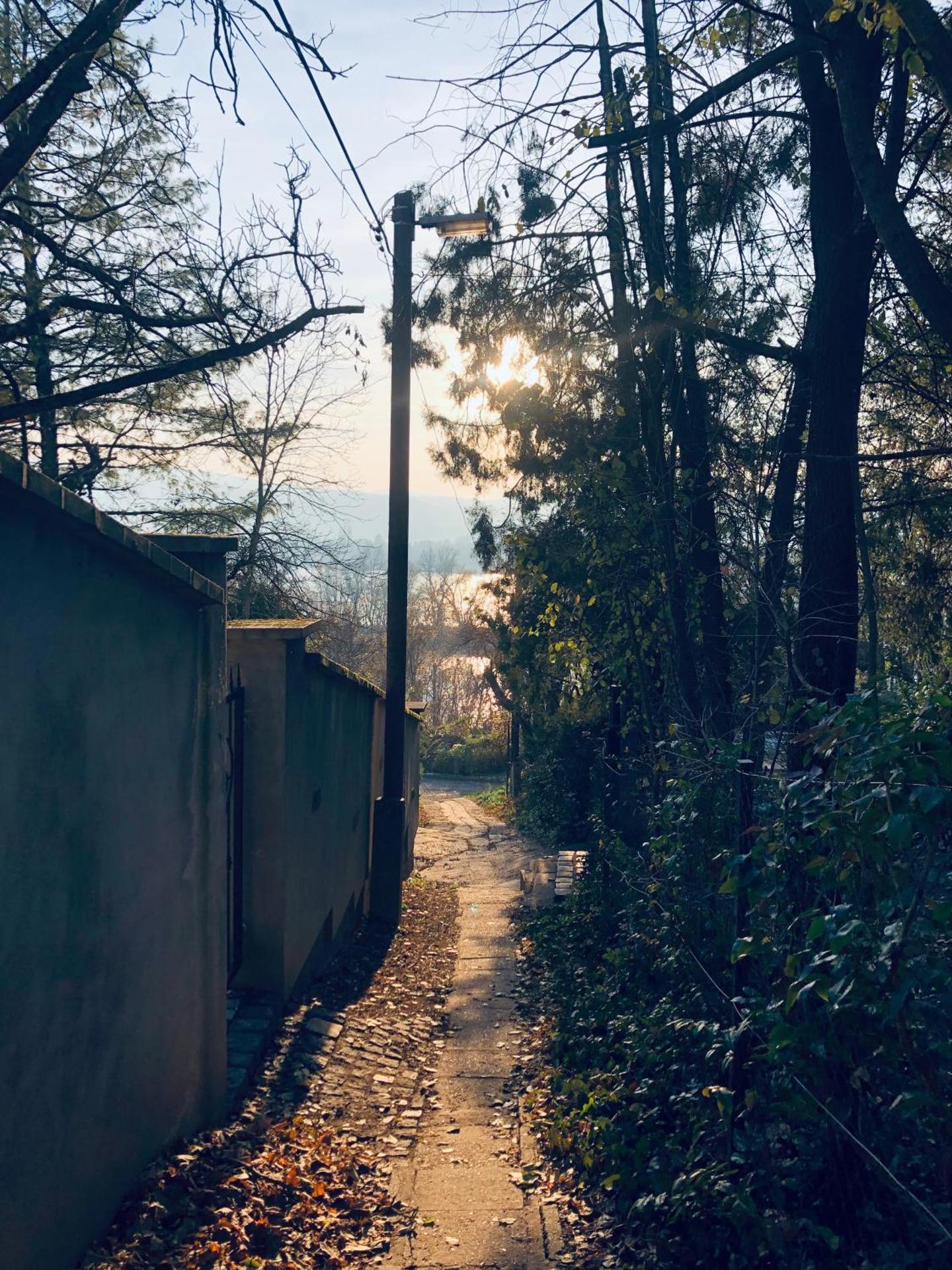 Repülőhal Apartmanház