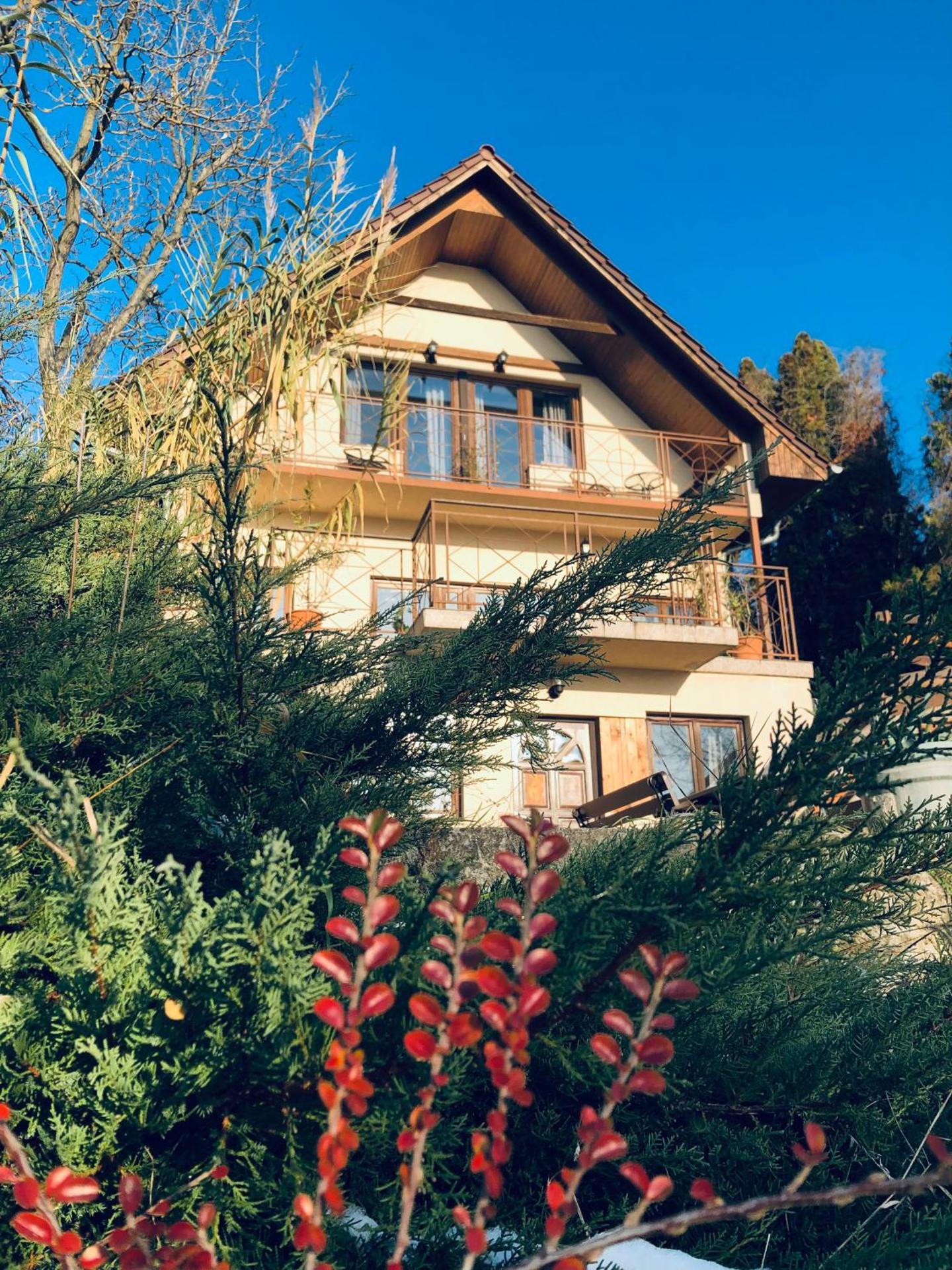 Repülőhal Apartmanház