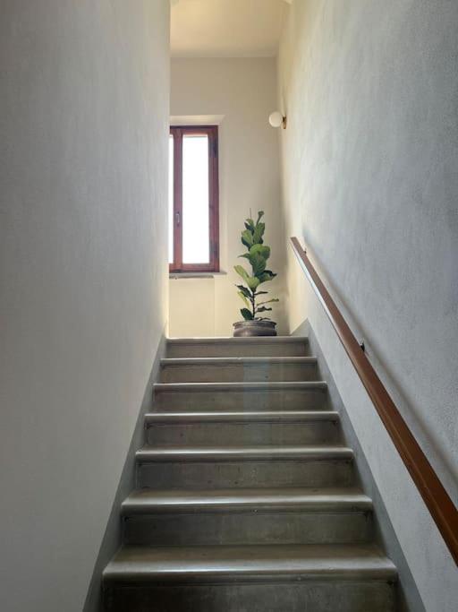 LE COLLINE HOUSE San Miniato