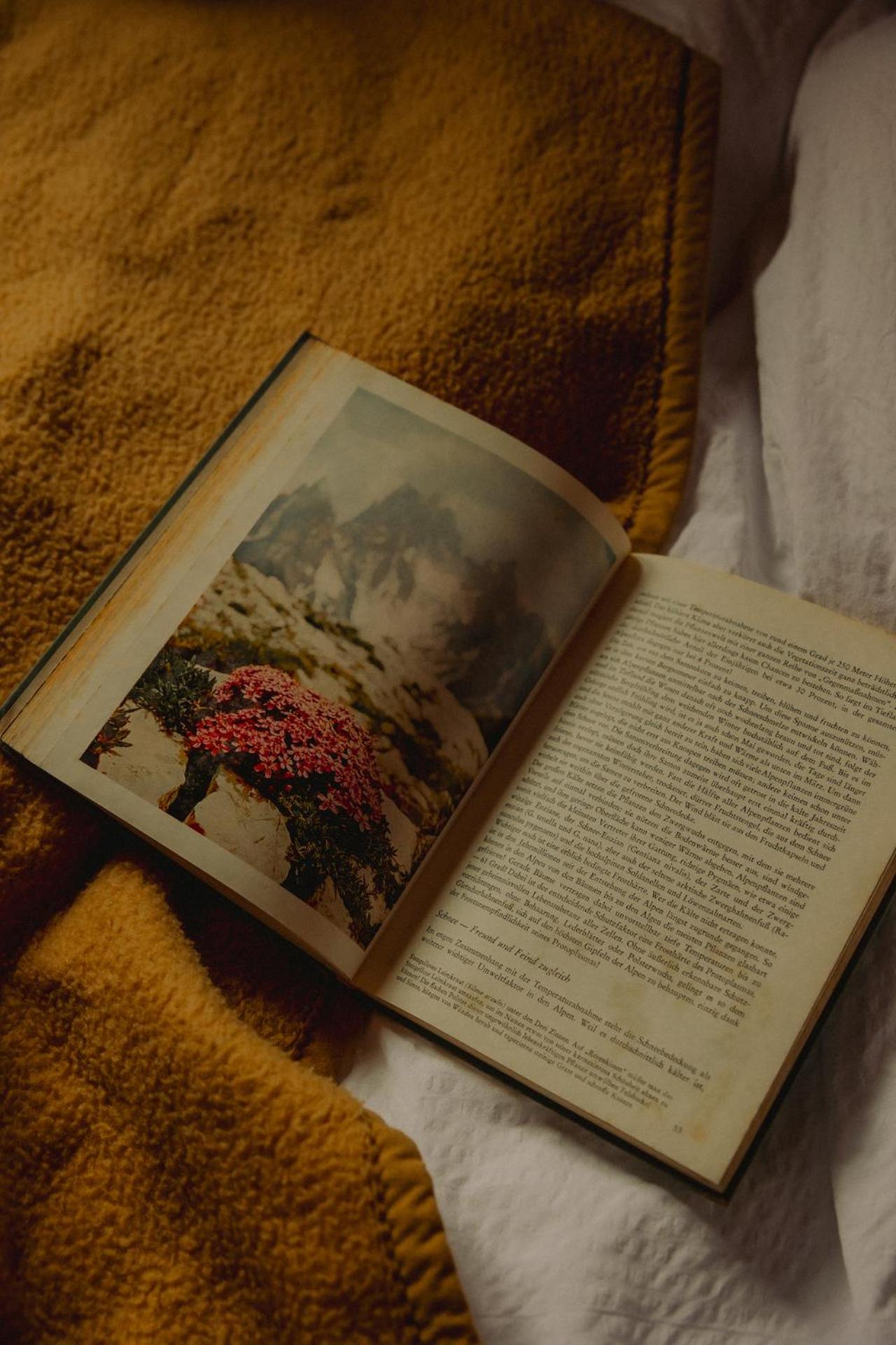 Single Bed in Mixed Dormitory Room