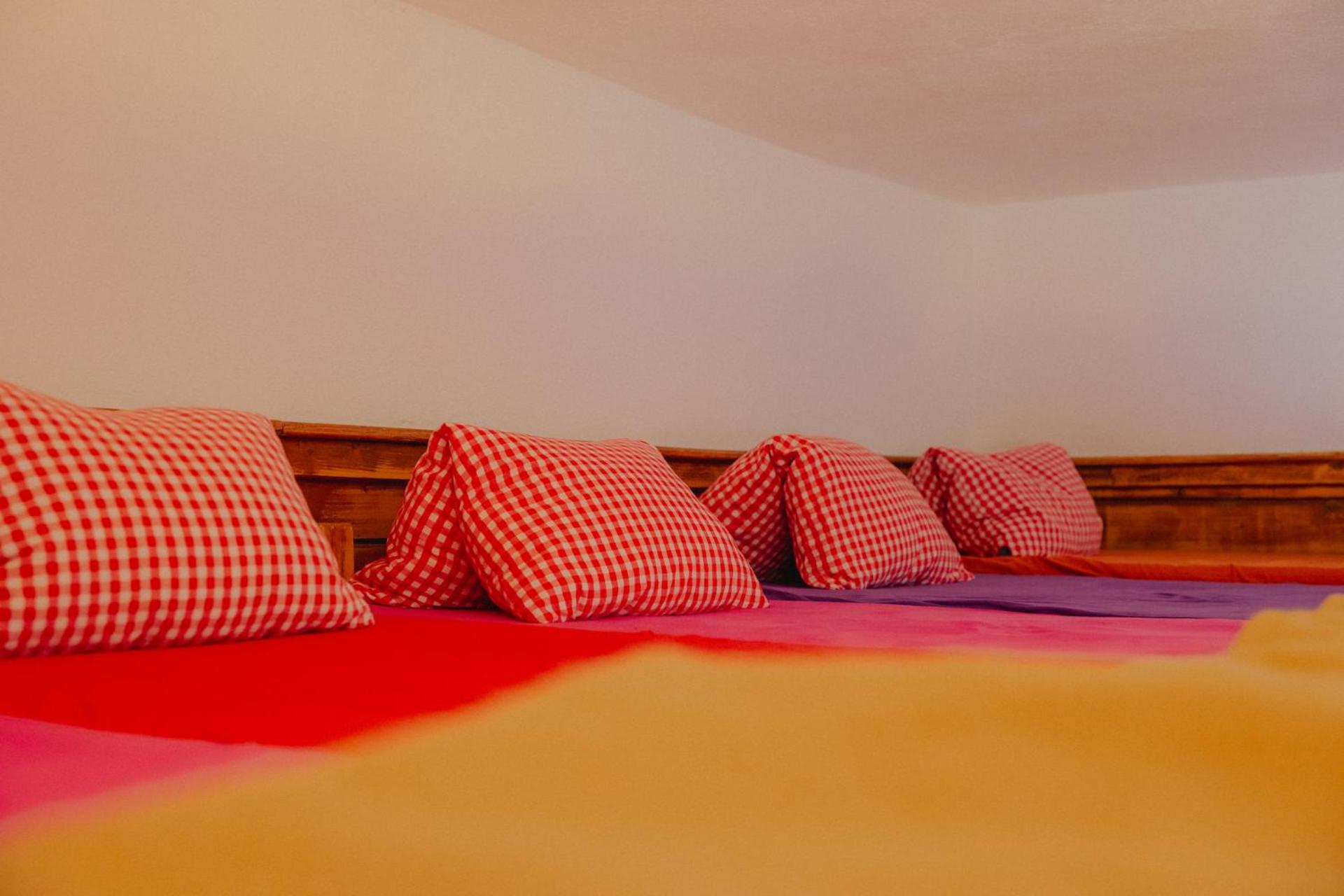 Single Bed in Mixed Dormitory Room