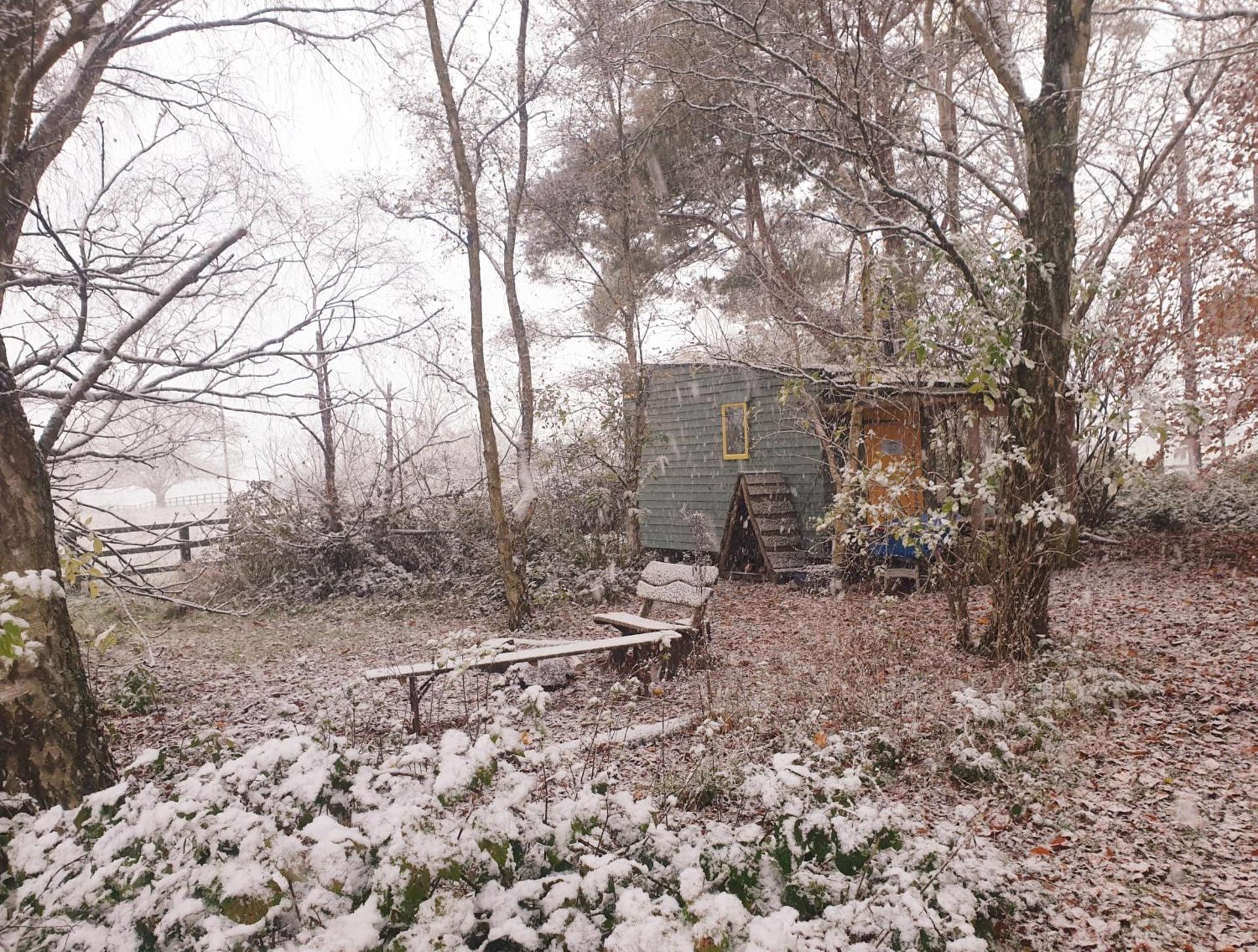 Delightful Shepherd hut