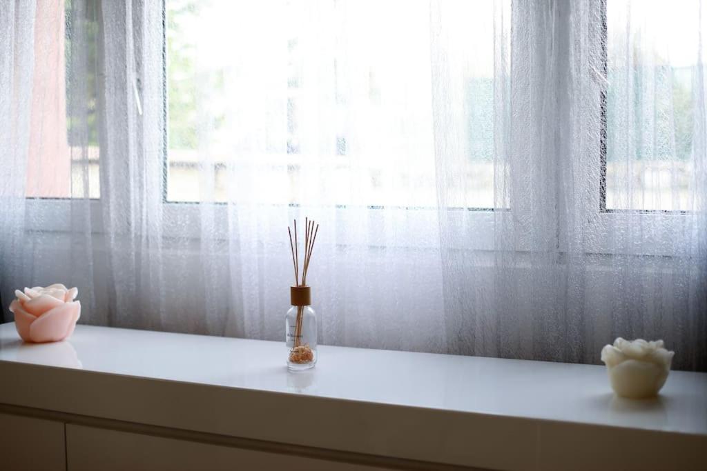 T2 cosy entre calme et proximité