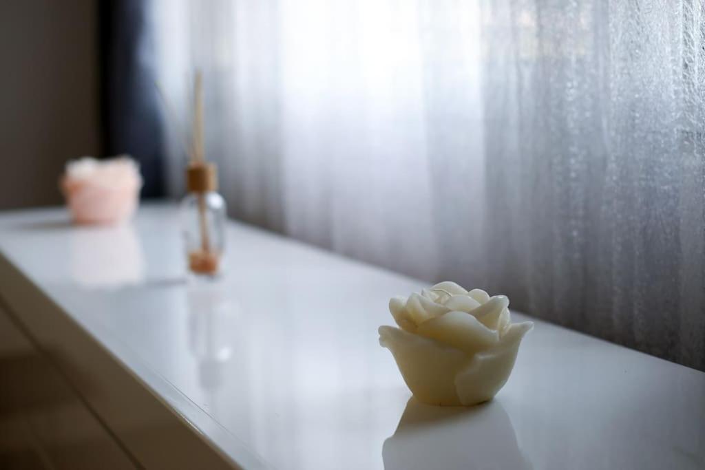 T2 cosy entre calme et proximité