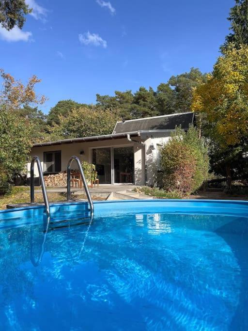 Modernes Waldhaus im Spreewald