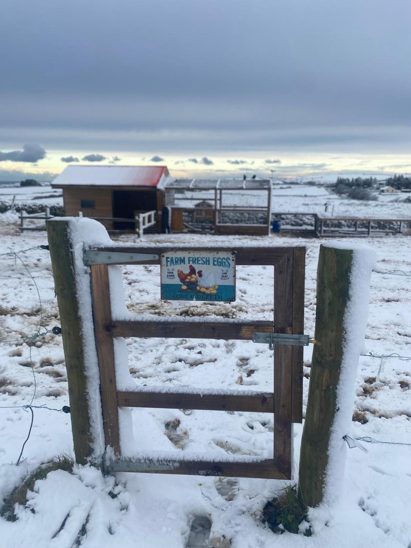 Riverfield Apartment