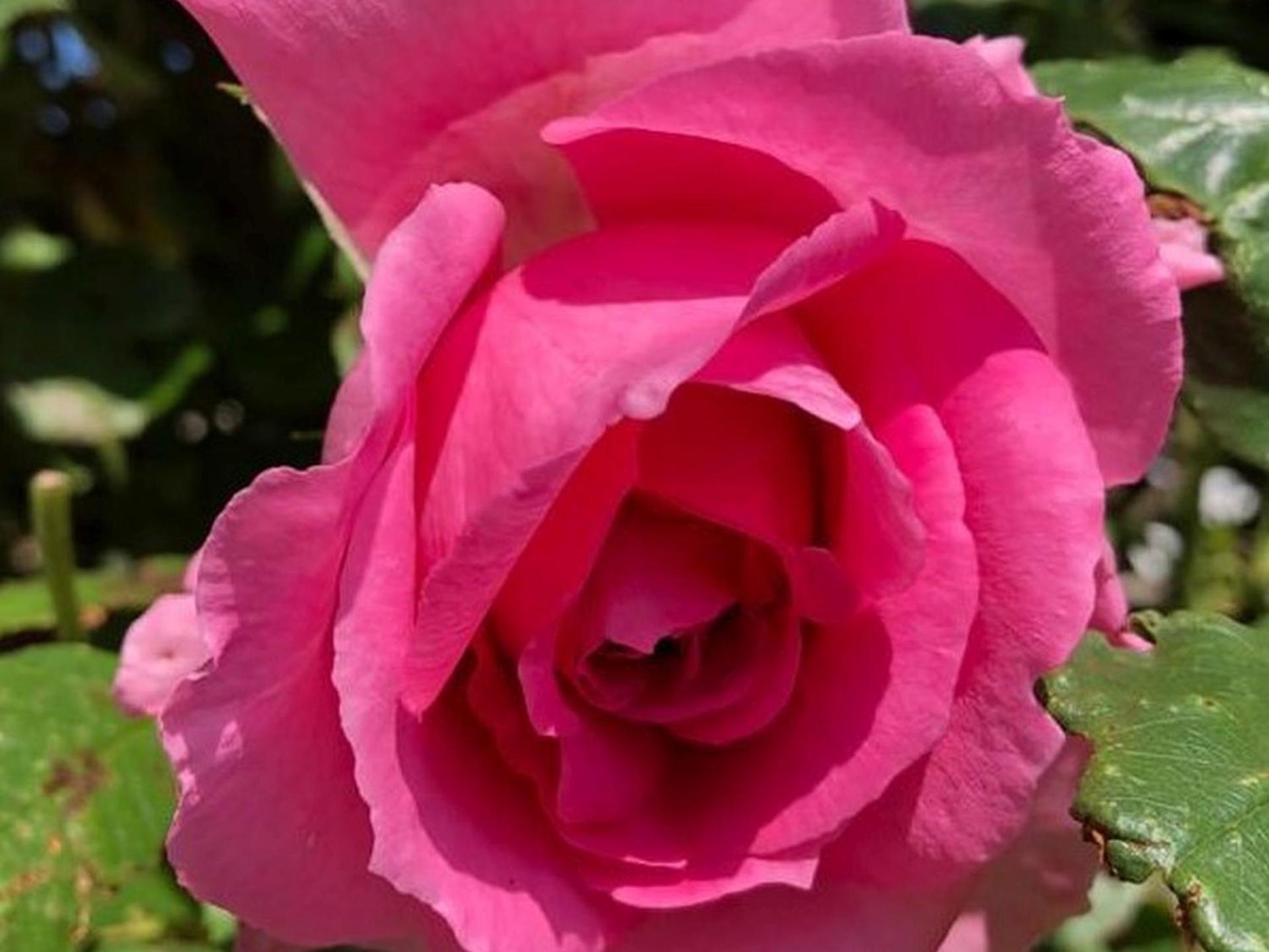 Apartmenthaus Schlosspark