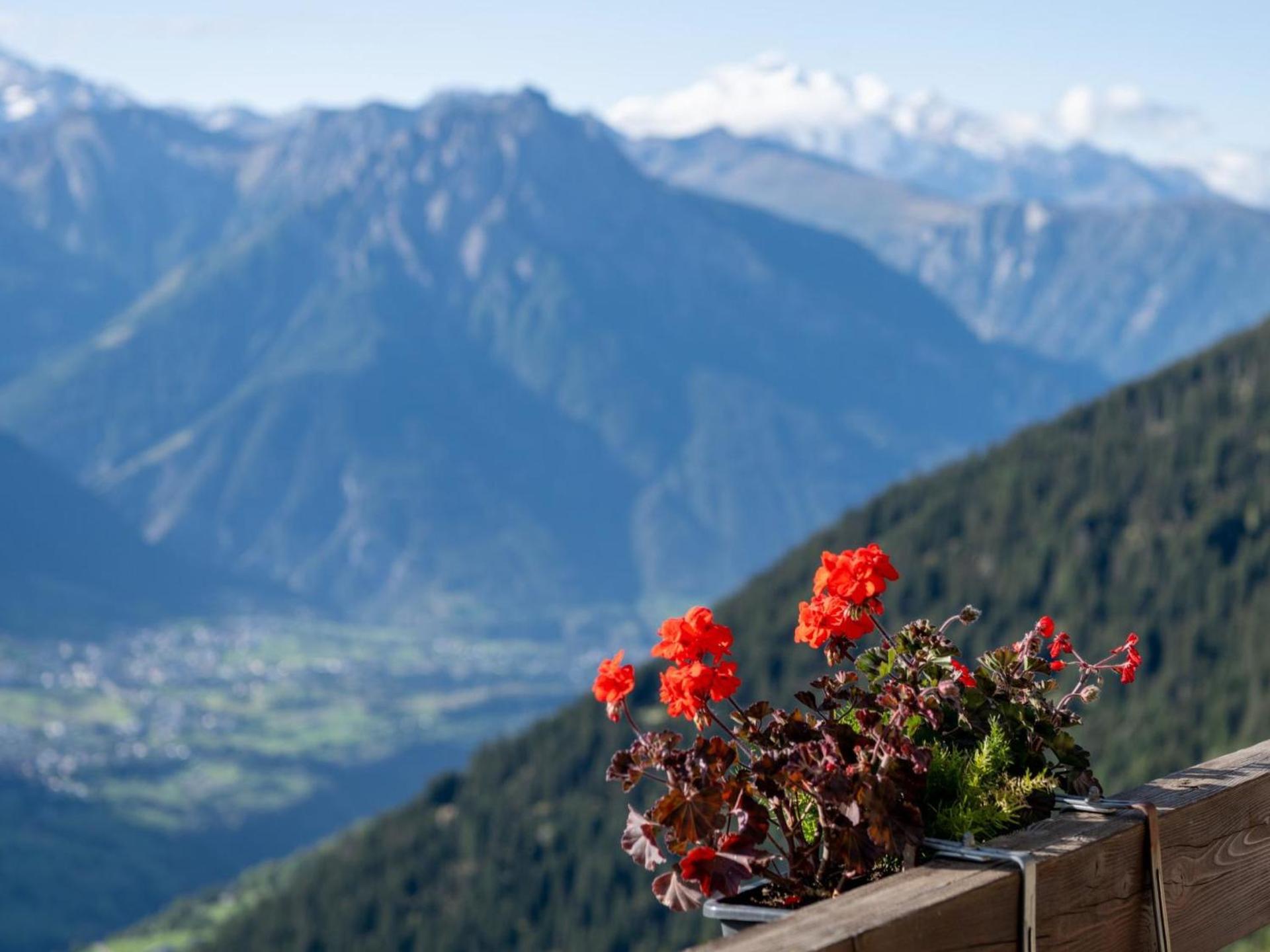 Apartment Zurschmitten 15 1- UG Süd by Interhome