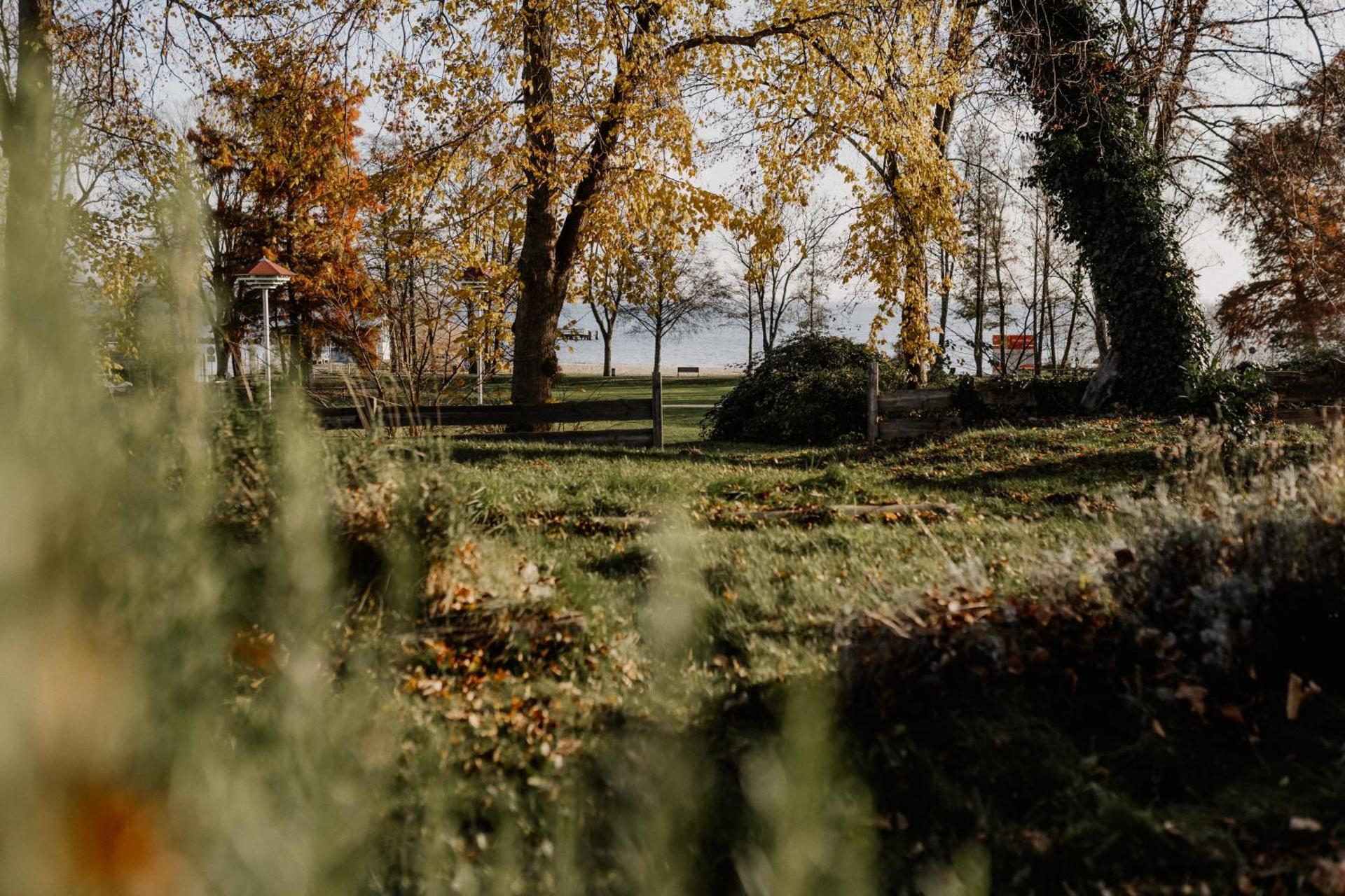 Altes Gutshaus Klink