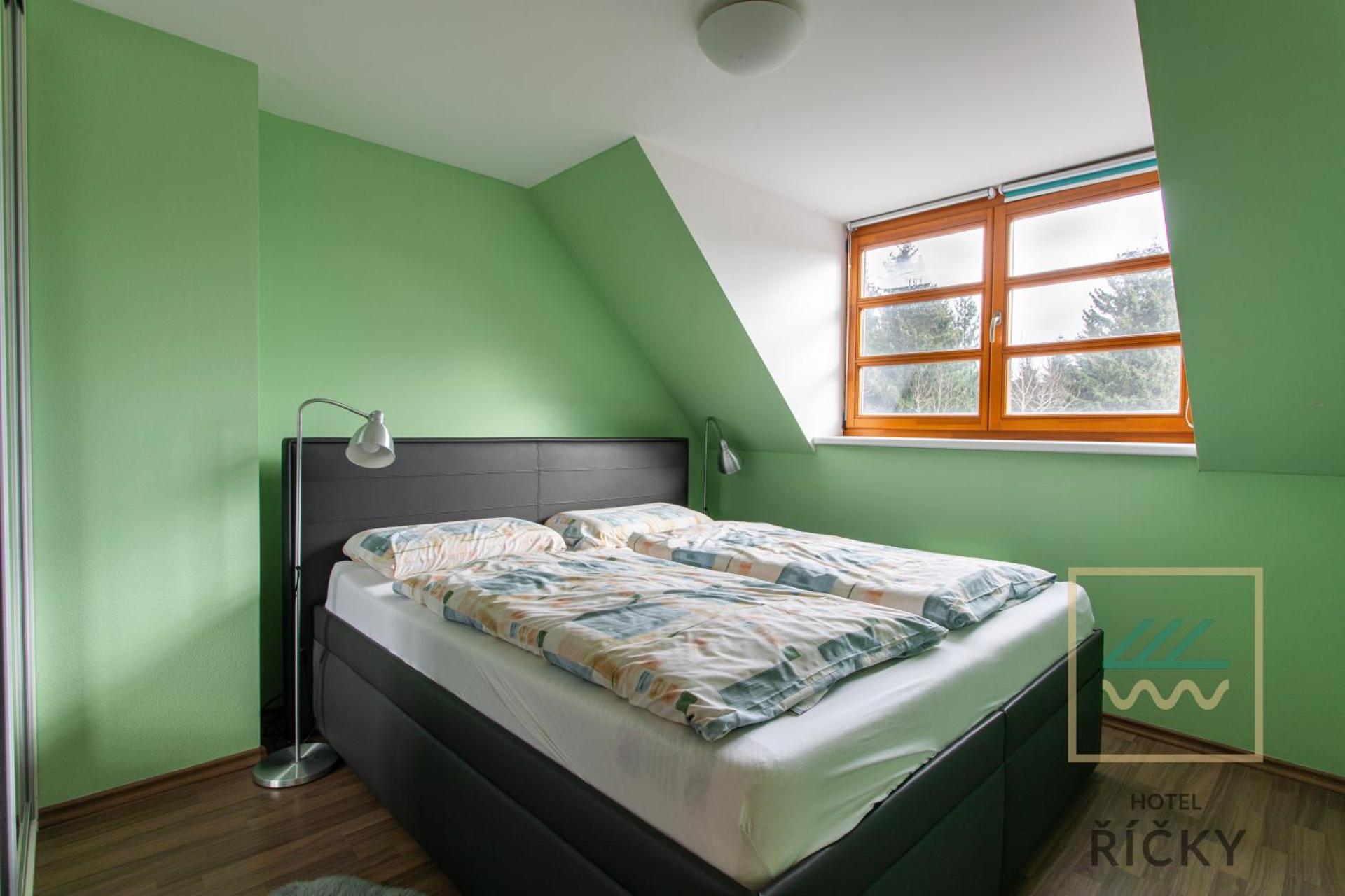 Apartmány pod Zakletým - Hotel Říčky