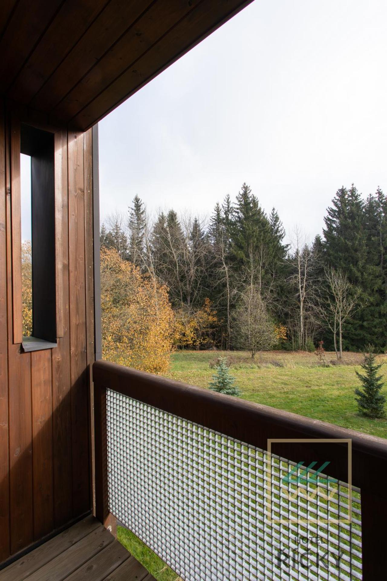 Apartmány pod Zakletým - Hotel Říčky