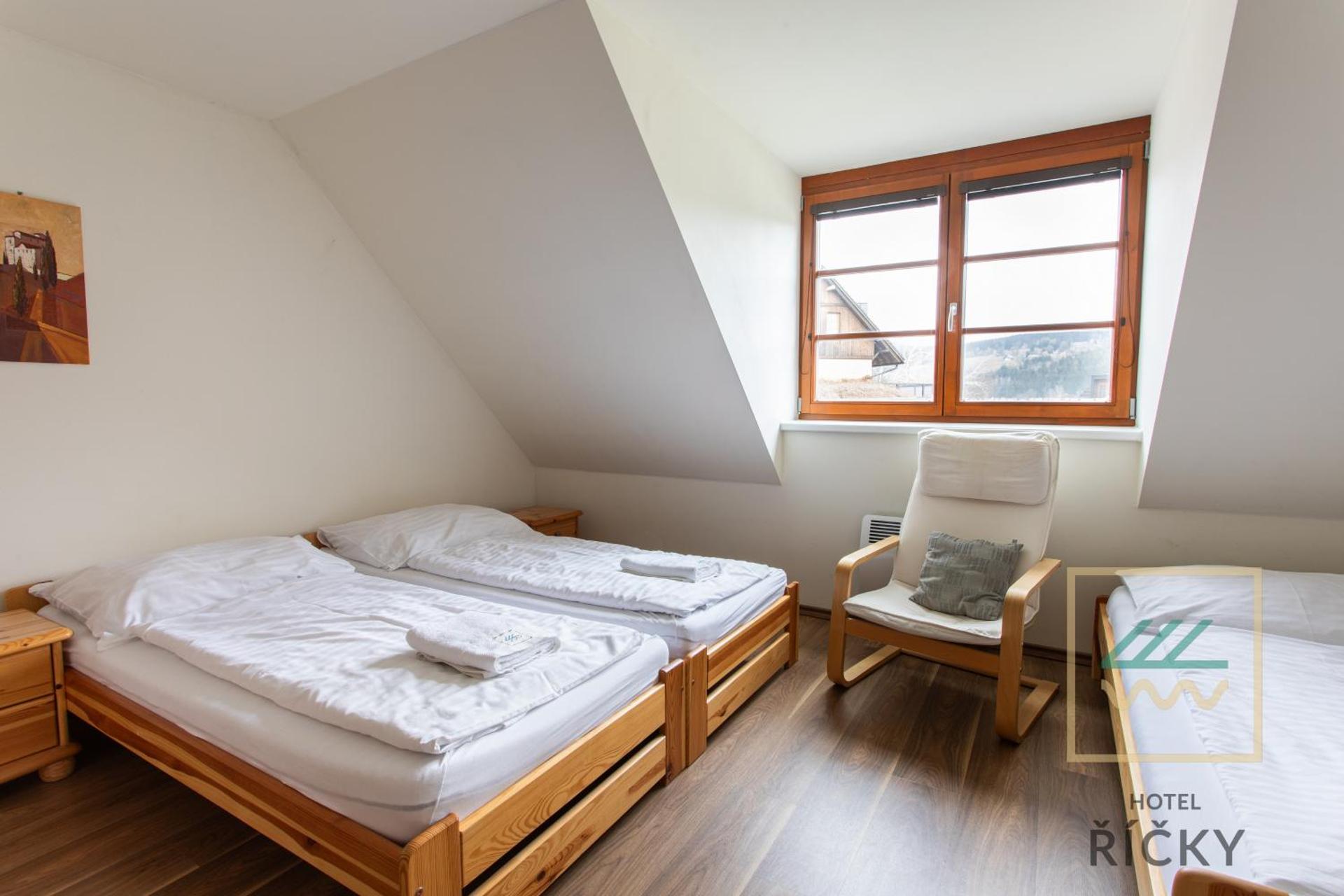 Apartmány pod Zakletým - Hotel Říčky