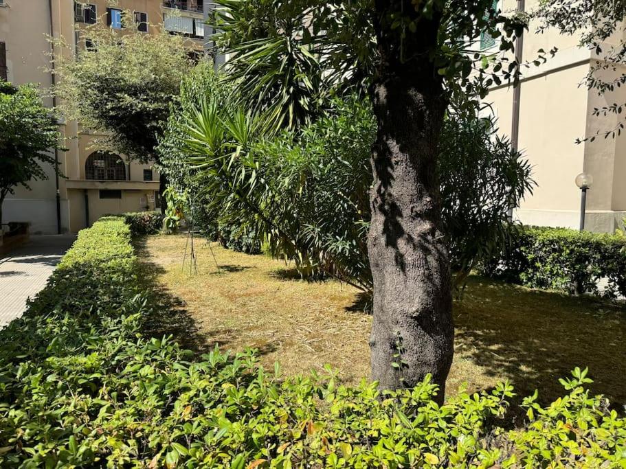 Casa Gigi al Vaticano