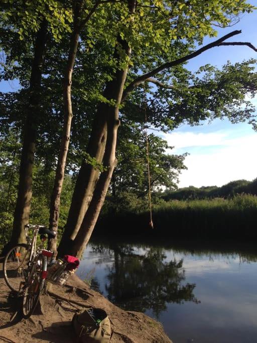 Alles am Fluss in Lüneburg