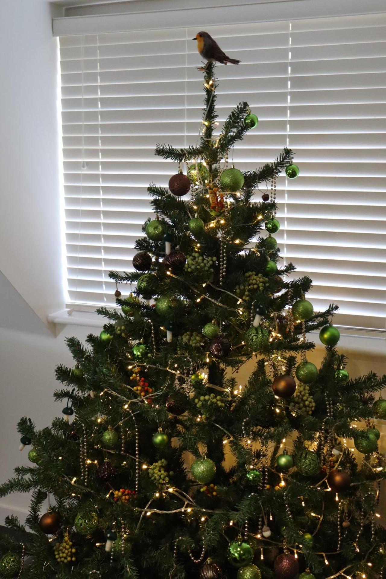 THE HIDEAWAY - LUXURY SELF CATERING COASTAL APARTMENT with PRIVATE ENTRANCE & KEY BOX ENTRY JUST A FEW MINUTES WALK TO THE BEACH, SOLENT WAY WALK, SHOPS and many EATERIES & BARS - FREE OFF ROAD PARKING,FULL KITCHEN, LOUNGE,BEDROOM , BATHROOM & WI-FI