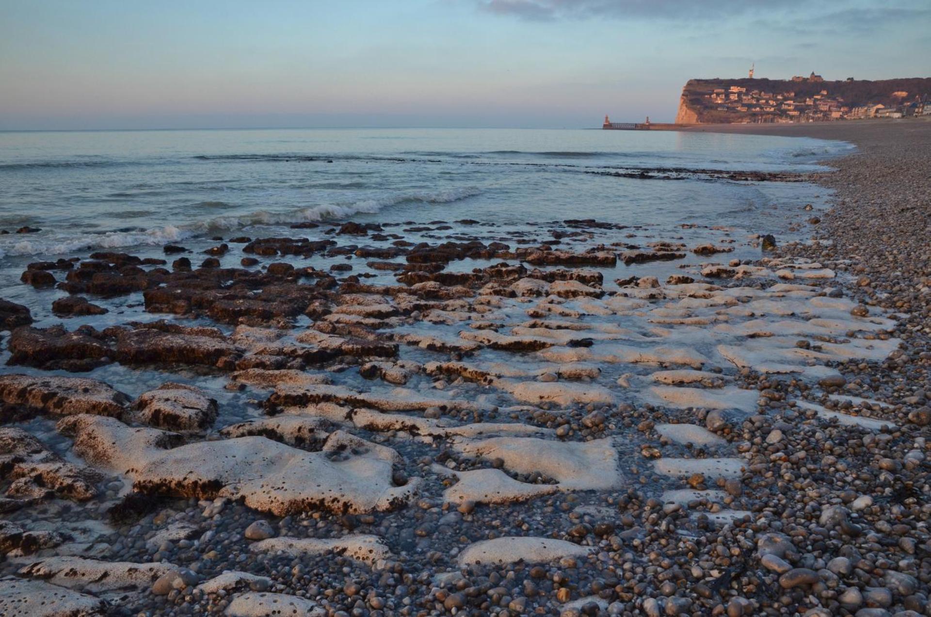 Les Jardins de la Béné