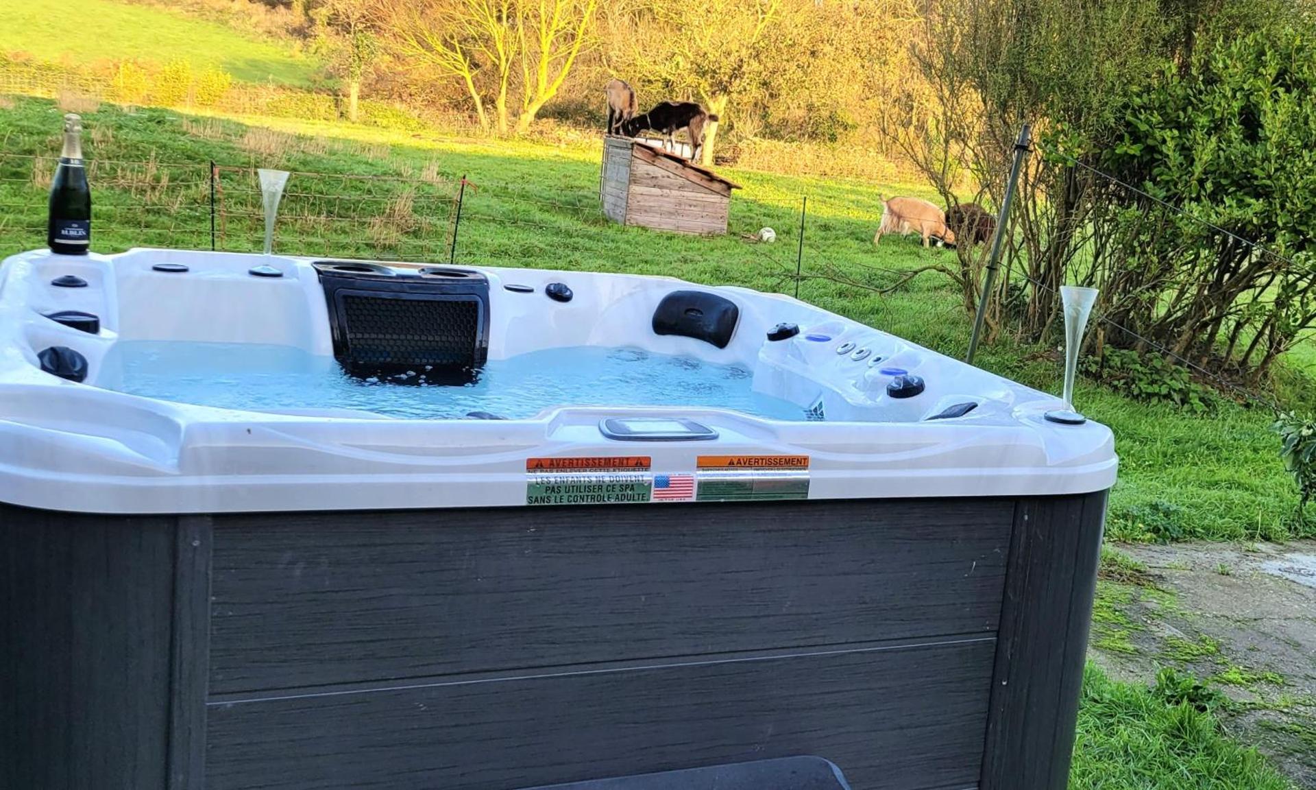 Le gîte de Saint Mathieu, longère pleine de charme au bout du monde ! jacuzzi extérieur vue sur la campagne, salle de billard