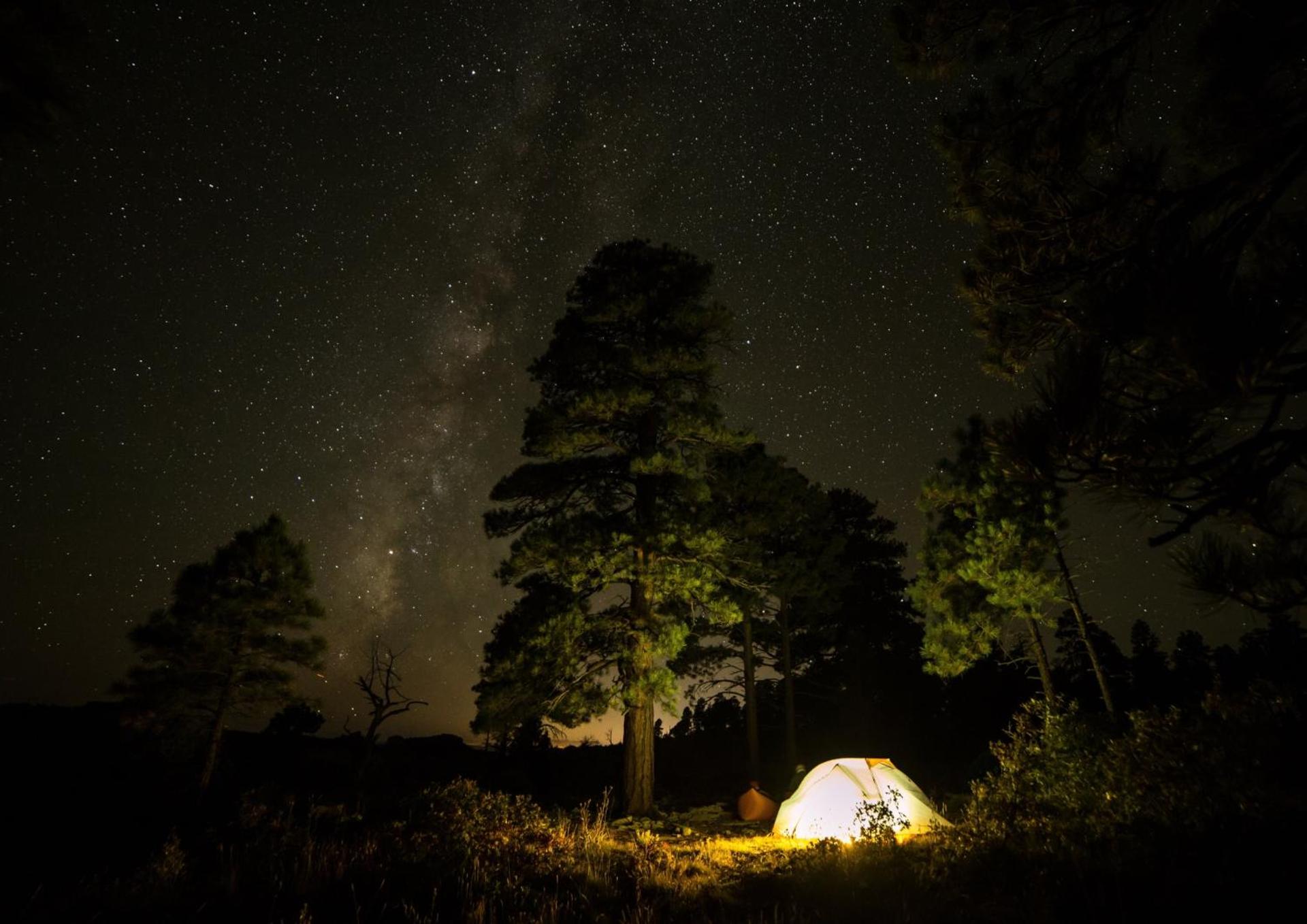 伊豆高原テントリゾート