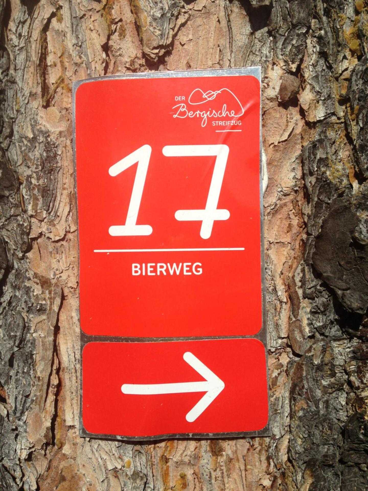 Logo/Certificate/Sign