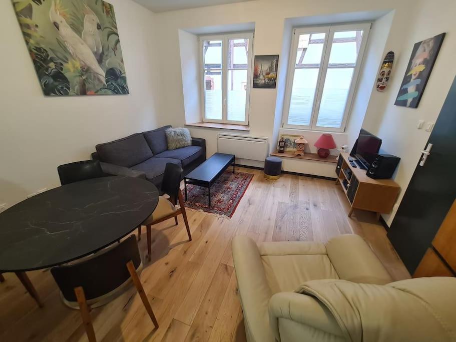 La cigogne d'Alsace 3