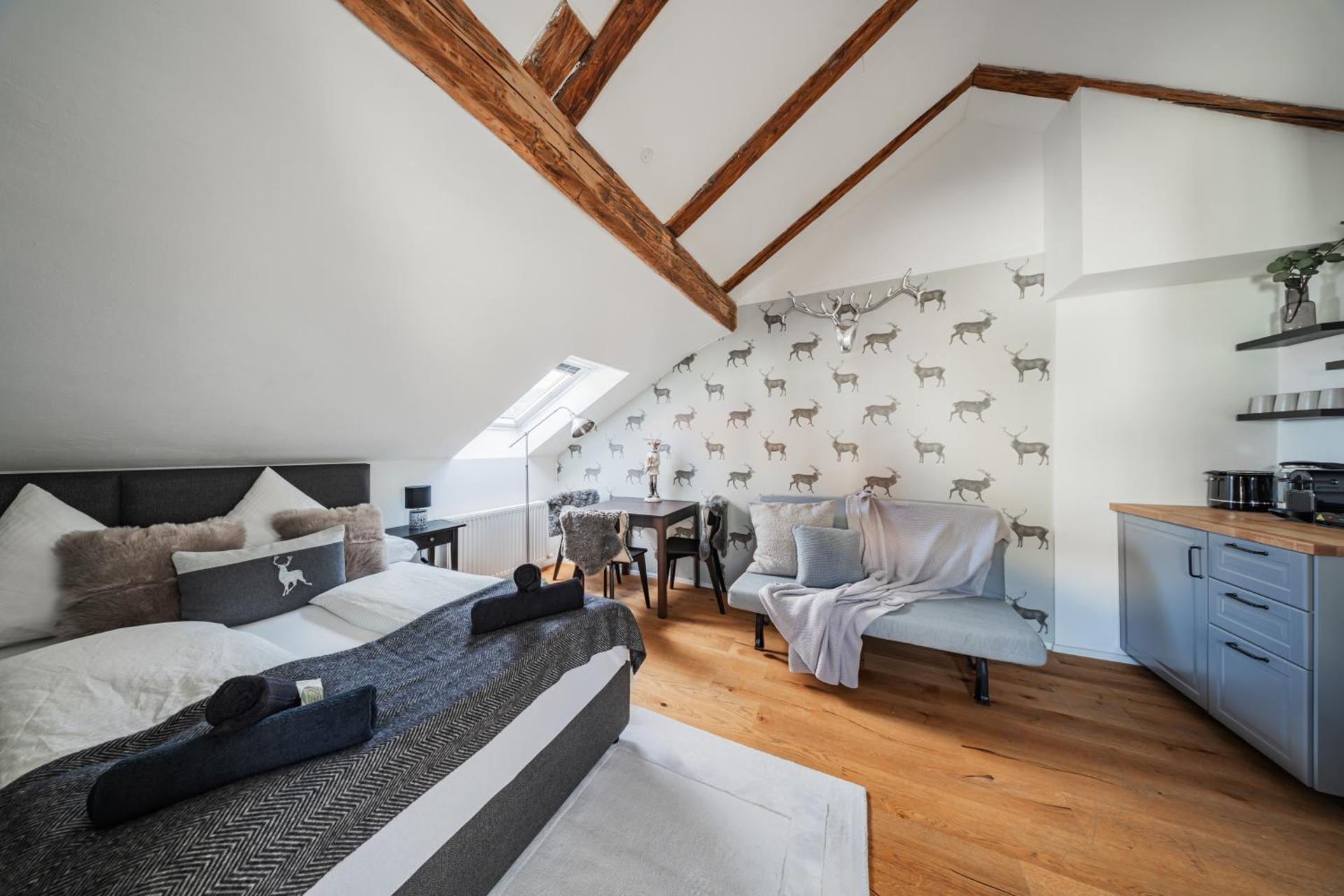 Studio with Mountain View