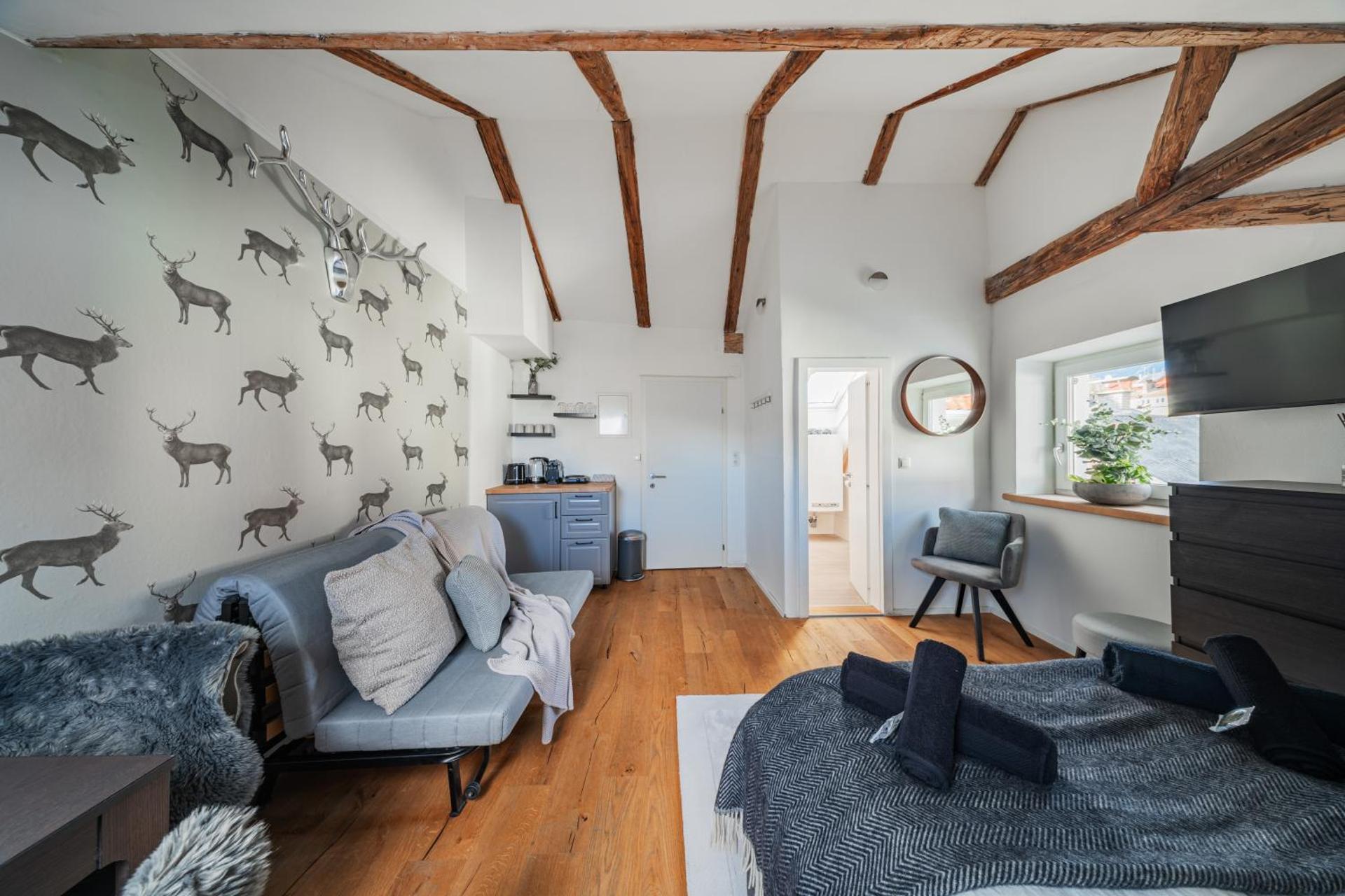 Studio with Mountain View