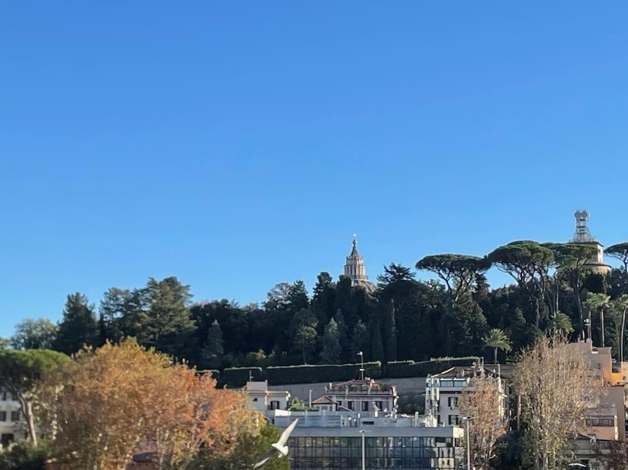 Vatican Apartment Cipro