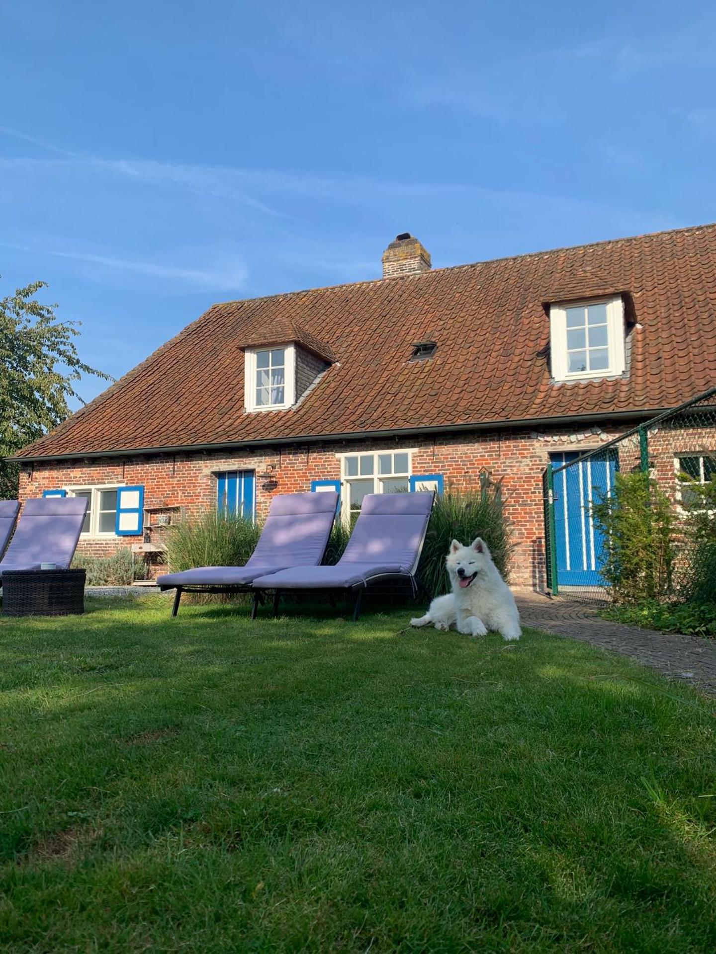 Hamiora wellness B&B