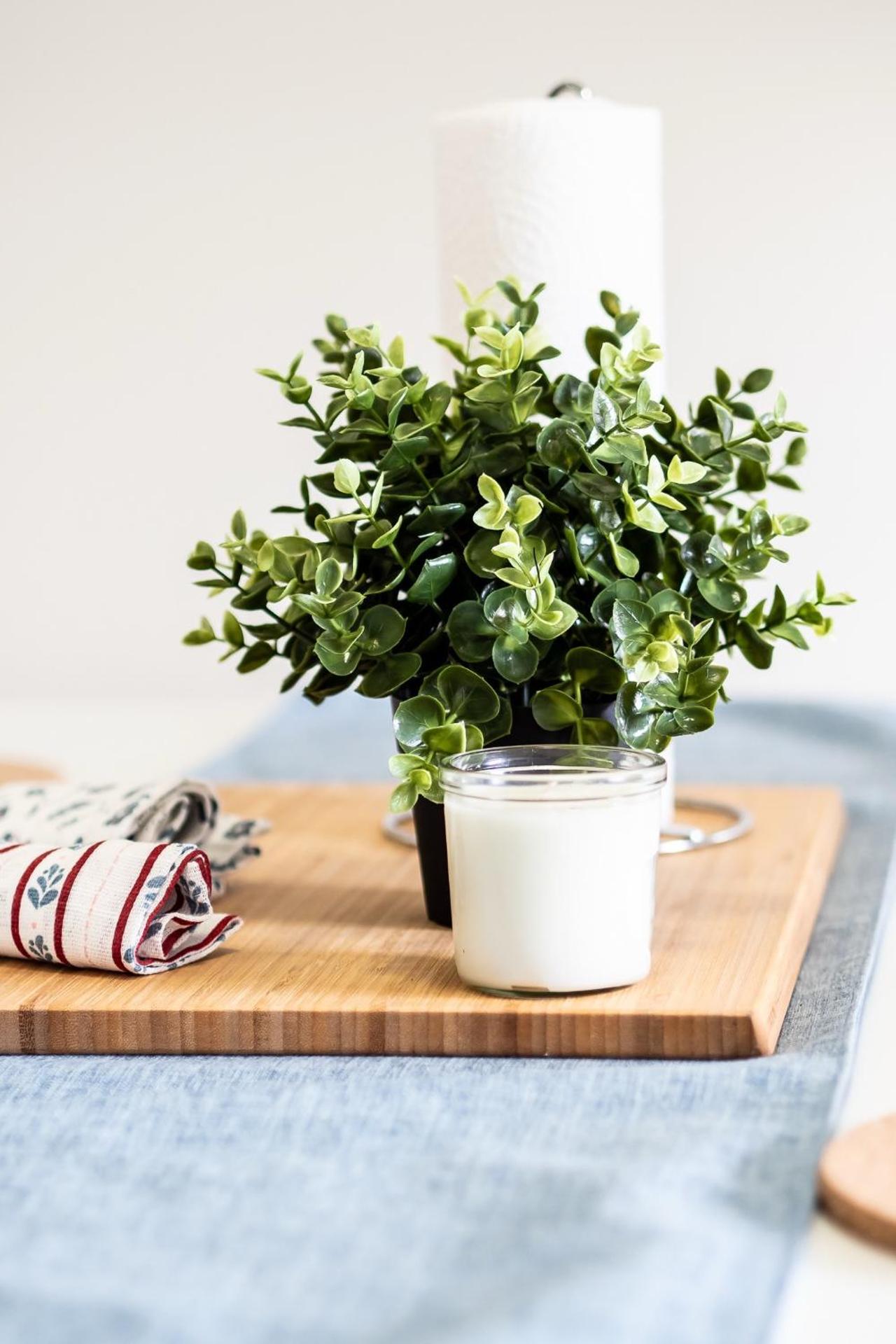 Cozy 2-Bedroom à Plateau-Mont-Royal