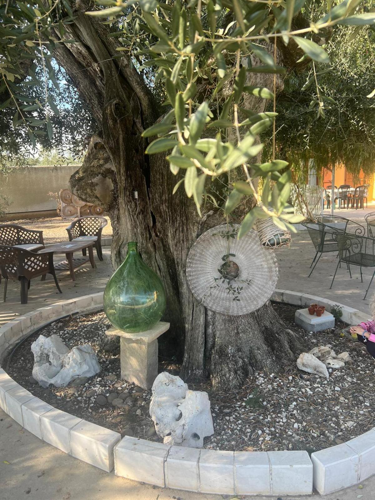 Casal Mastro appartamenti e camere con piscina