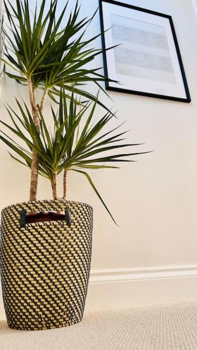 Windsor Coastal Retreat Whitley Bay Sleeps 9