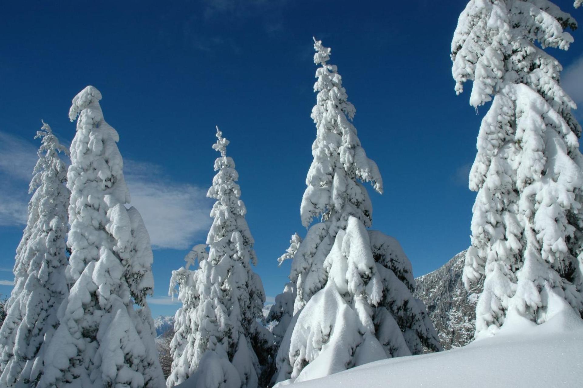 Hotel Appartement Lahngut