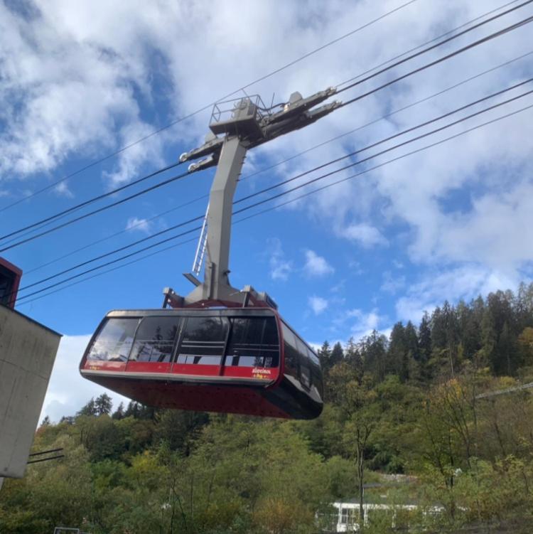 Hotel Appartement Lahngut