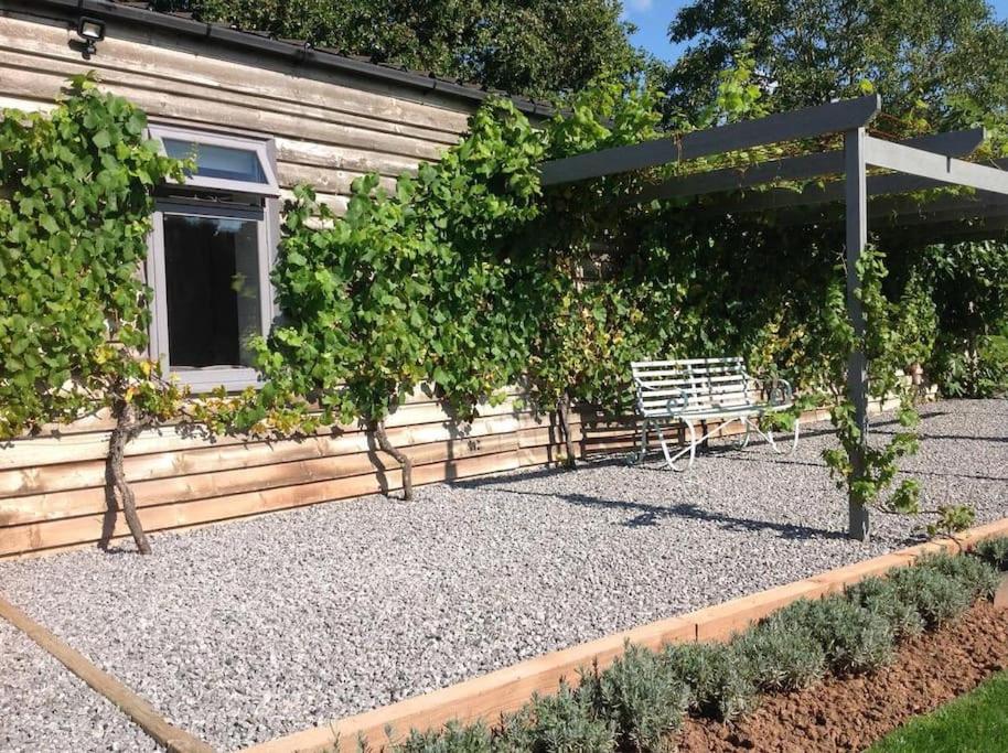 Vineyard lodge in Herefordshire