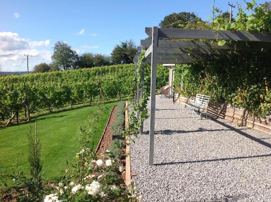 Vineyard lodge in Herefordshire