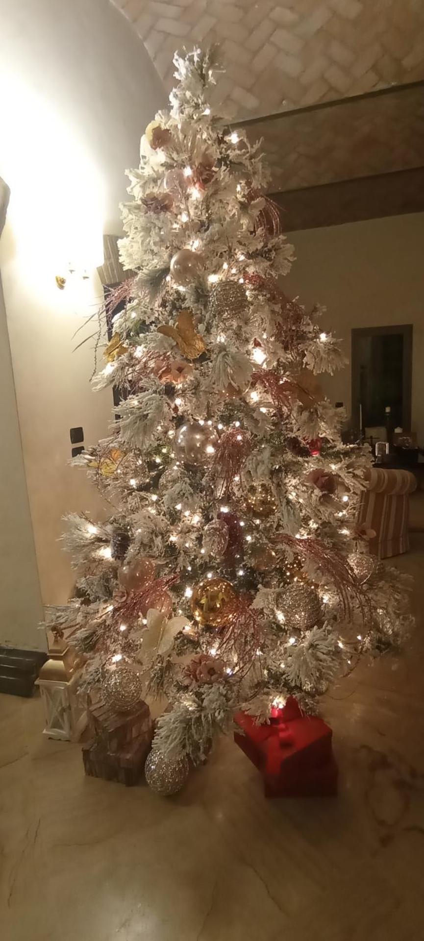 B&B Villa delle Palme