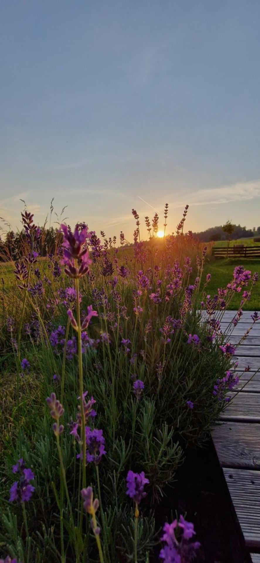 PrzyStań nad Listepką domek nowoczesna stodoła z widokiem na Tatry, Gorce i Pieniny