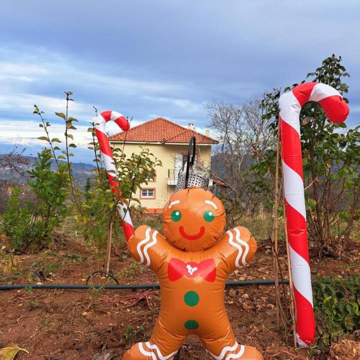 Ξενώνας Νικόλ