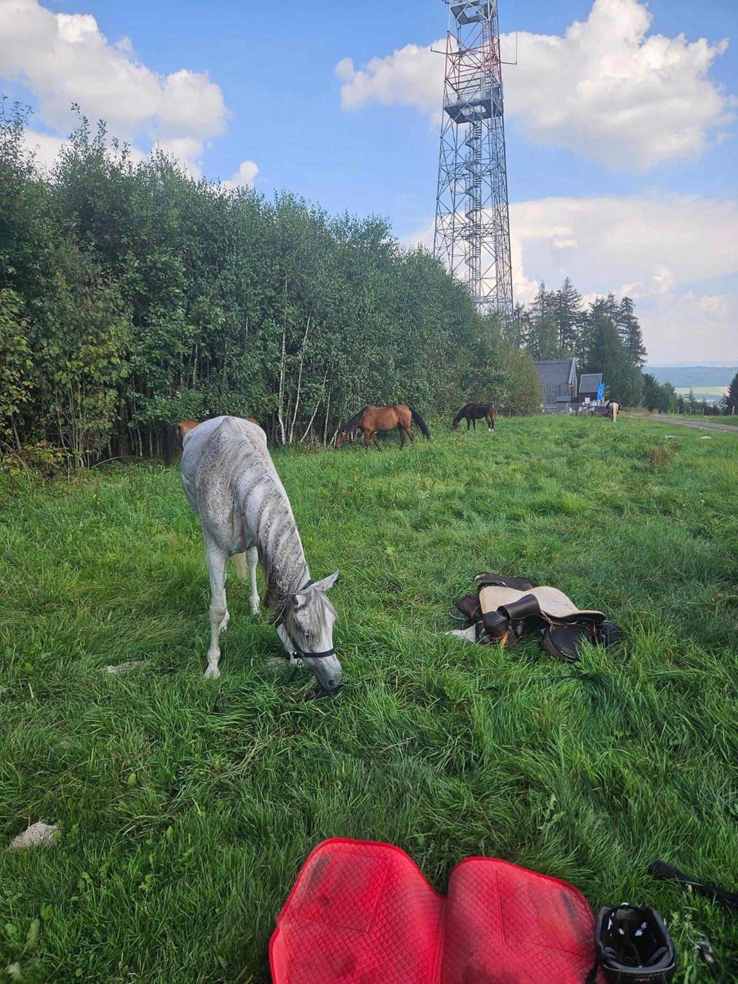 Chata Maxe Švabinského