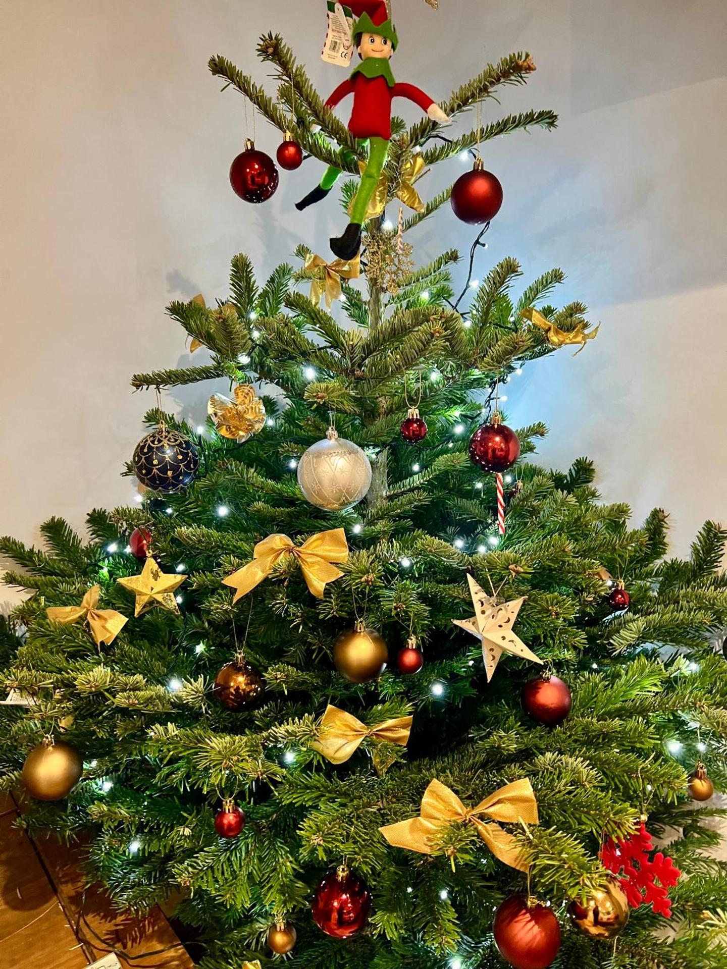 Orchard Lodge -Coastal Retreat, new build, village views, private garden and terrace