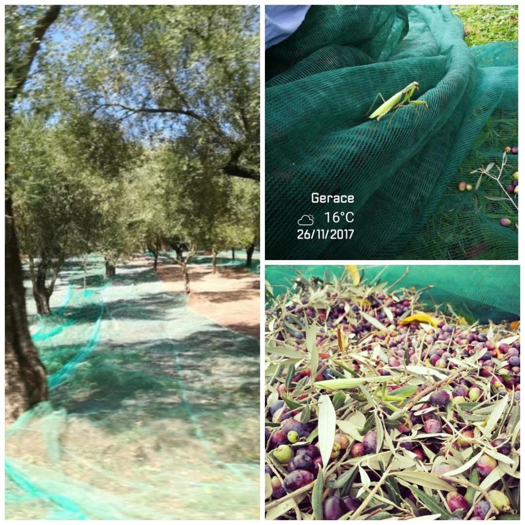 B&B Bellavista Gerace