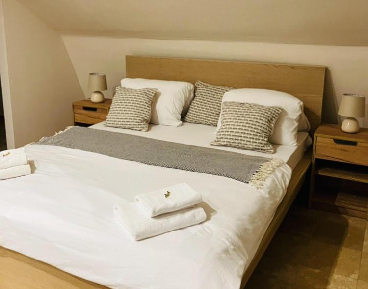 Downtown Apartments with shared kitchen