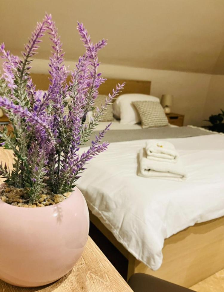 Downtown Apartments with shared kitchen