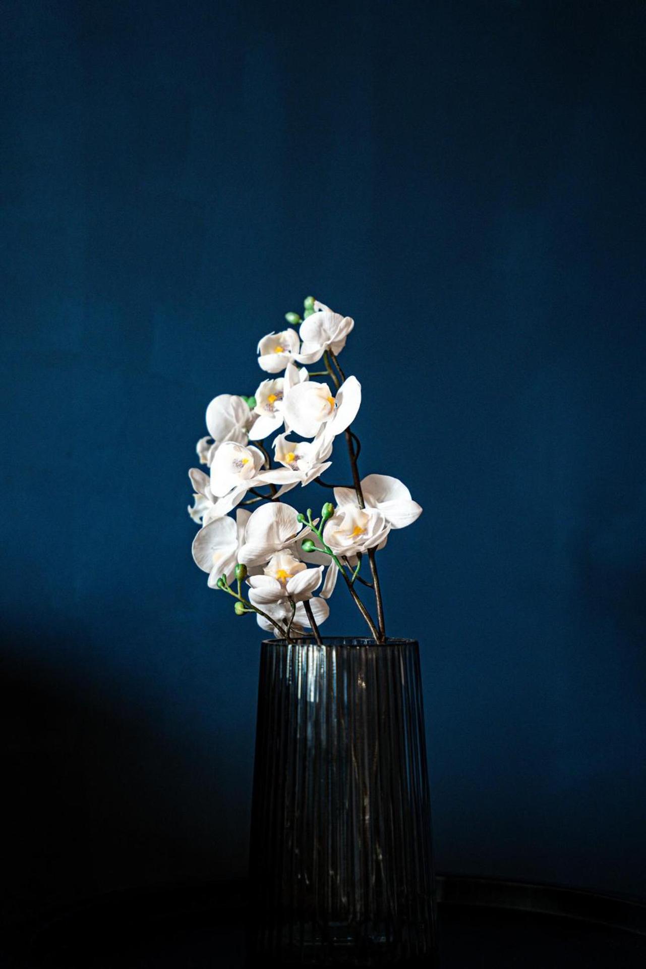 PARNIS PALACE Hotel Suites