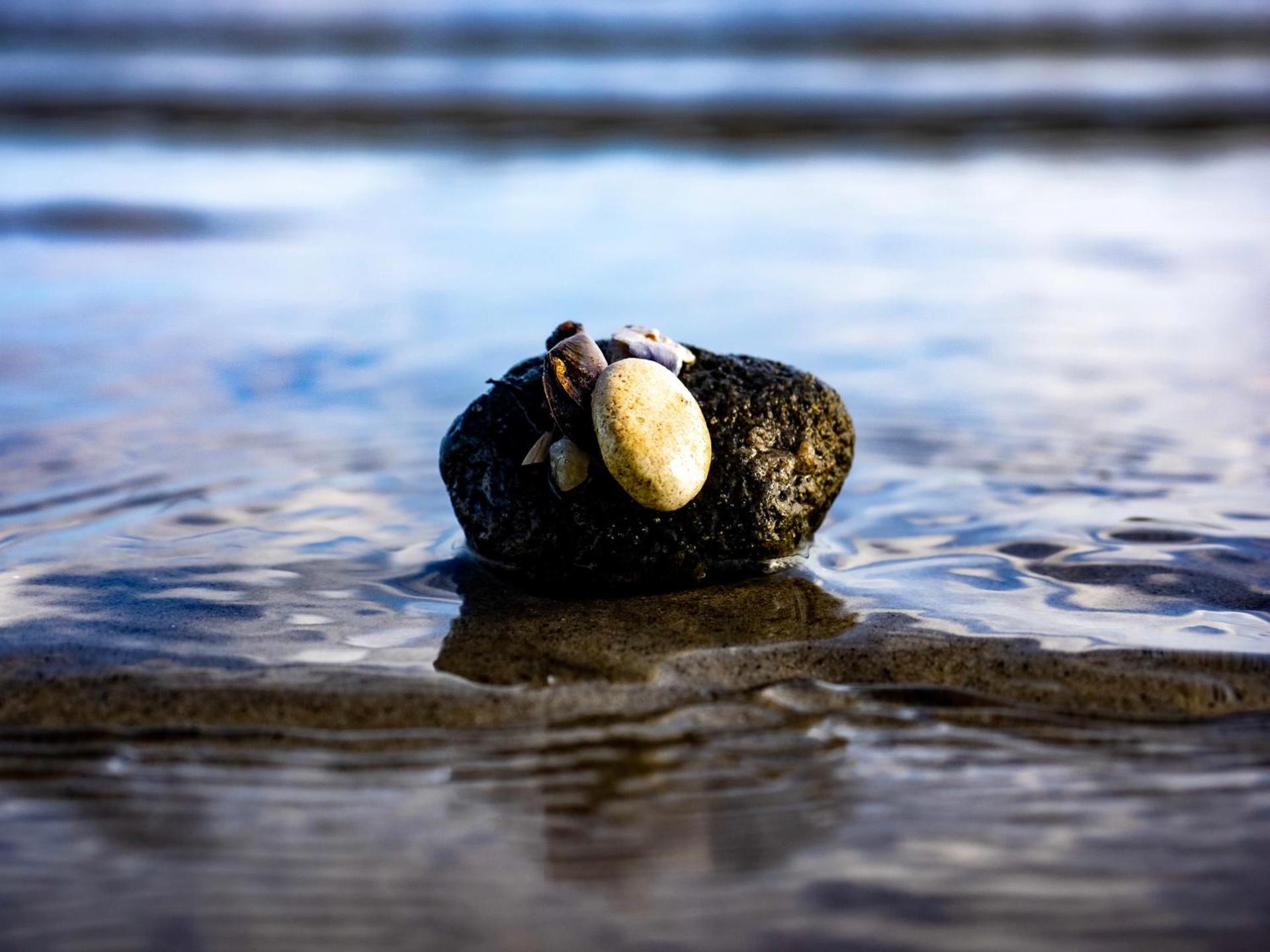 Ferienwohnung GlüXX