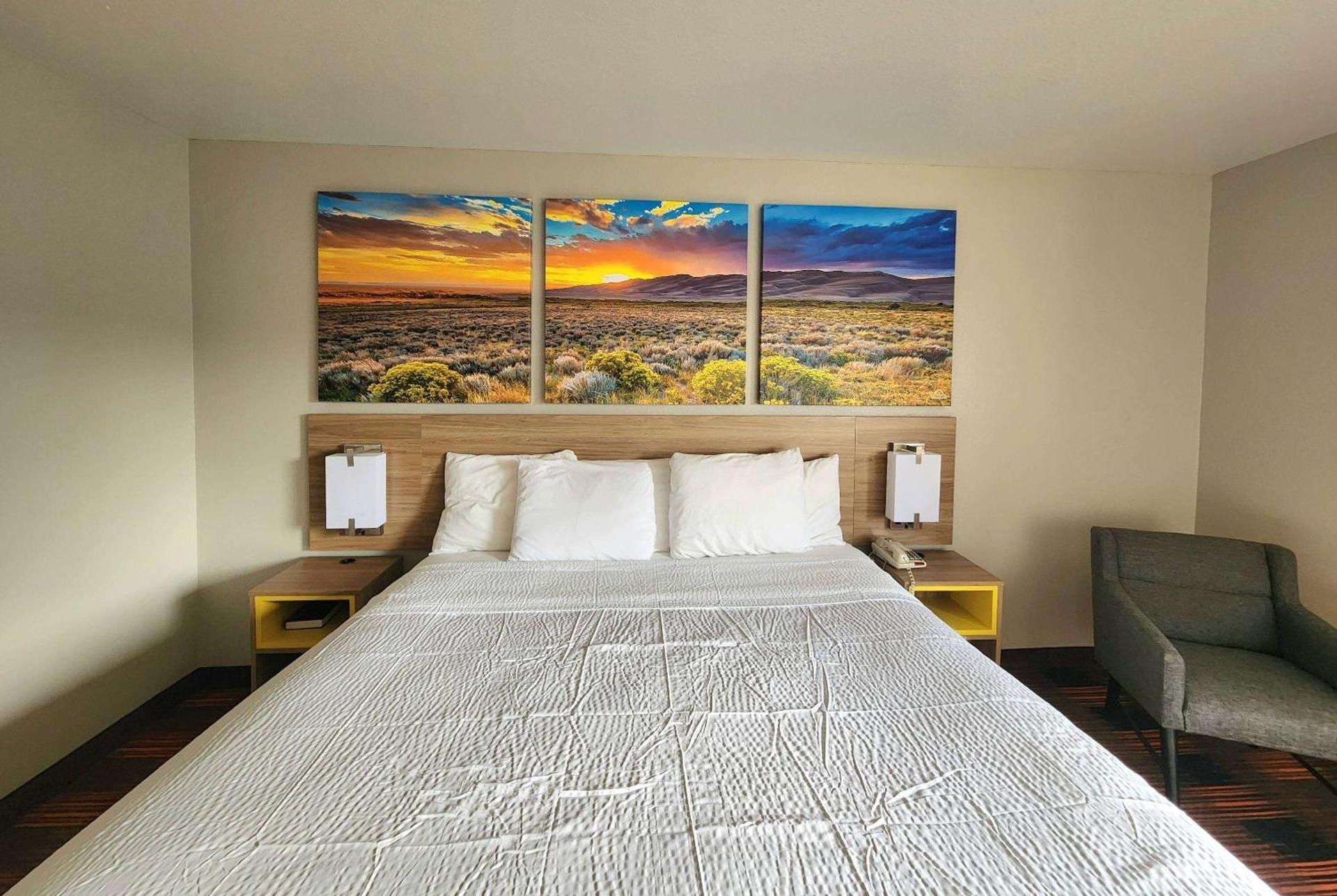 Photo of the whole room