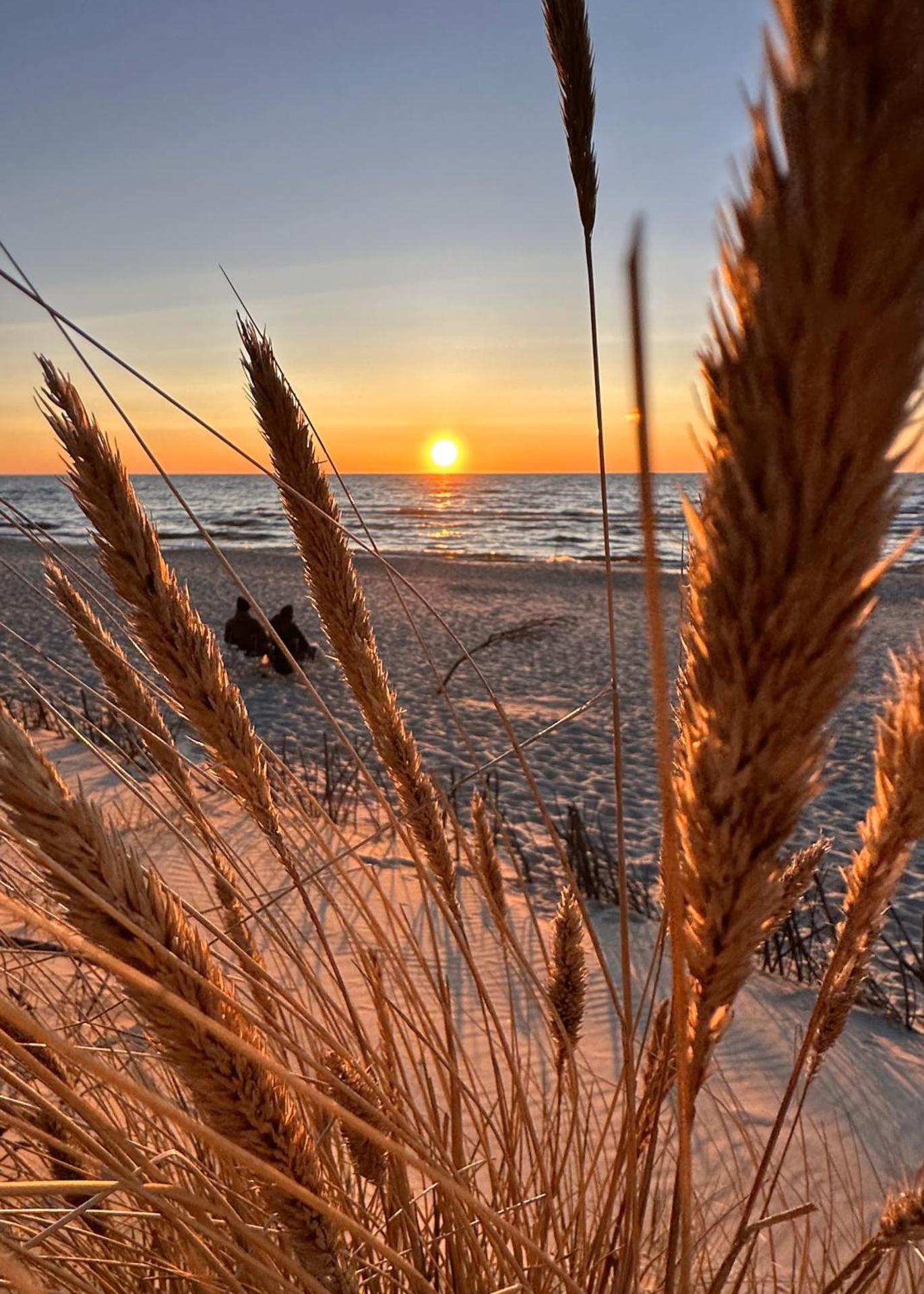 APARTAMENTY MIERZEJA - MIERZEJA PARK, Sztutowo