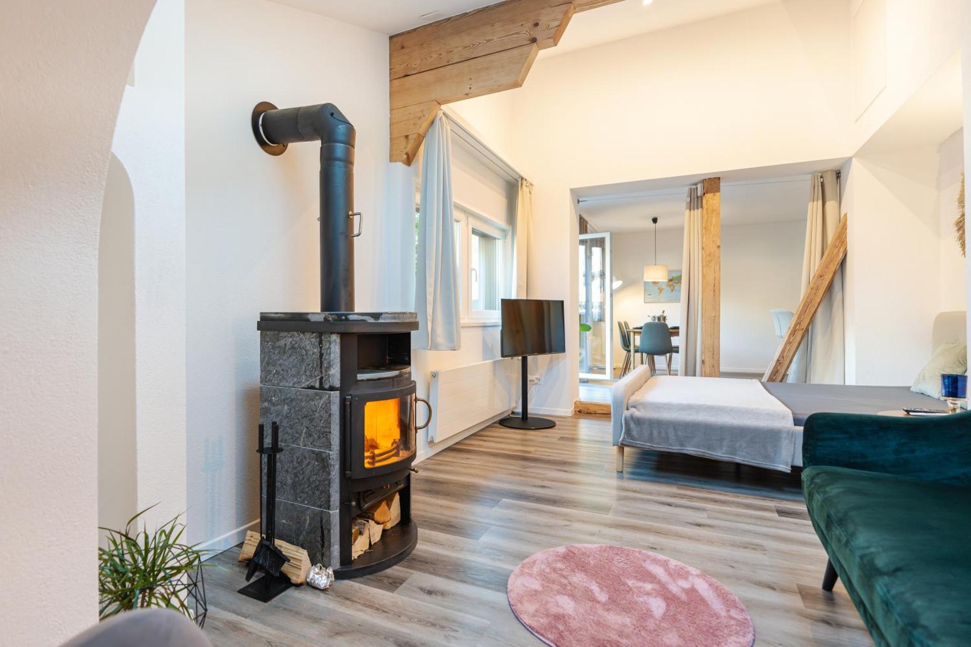 Bellevue & Classy Mountain View apartment