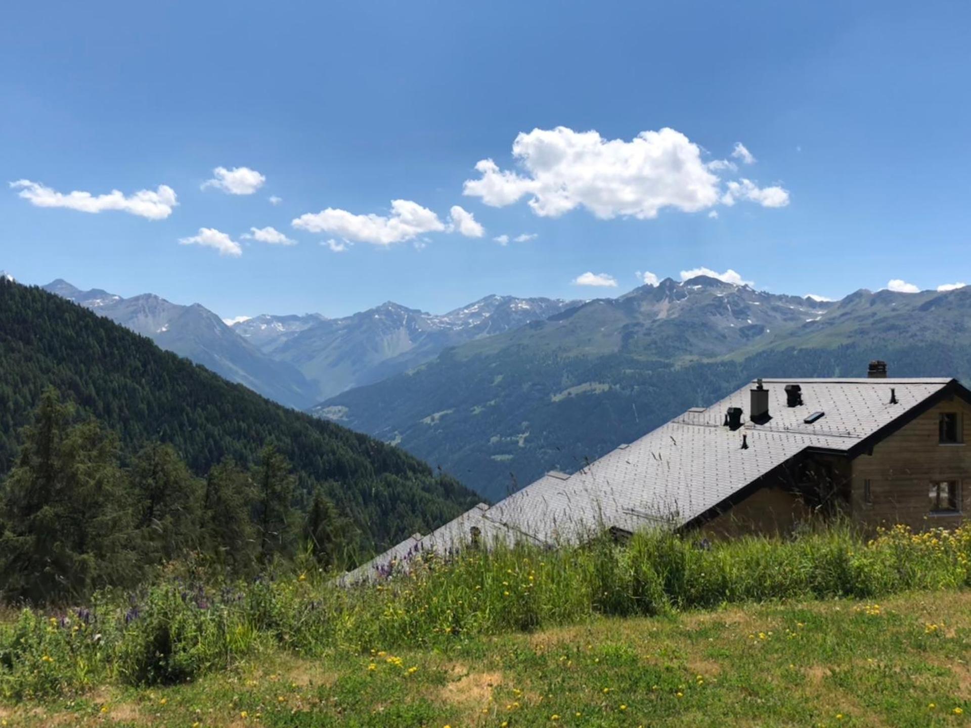 View (from property/room)