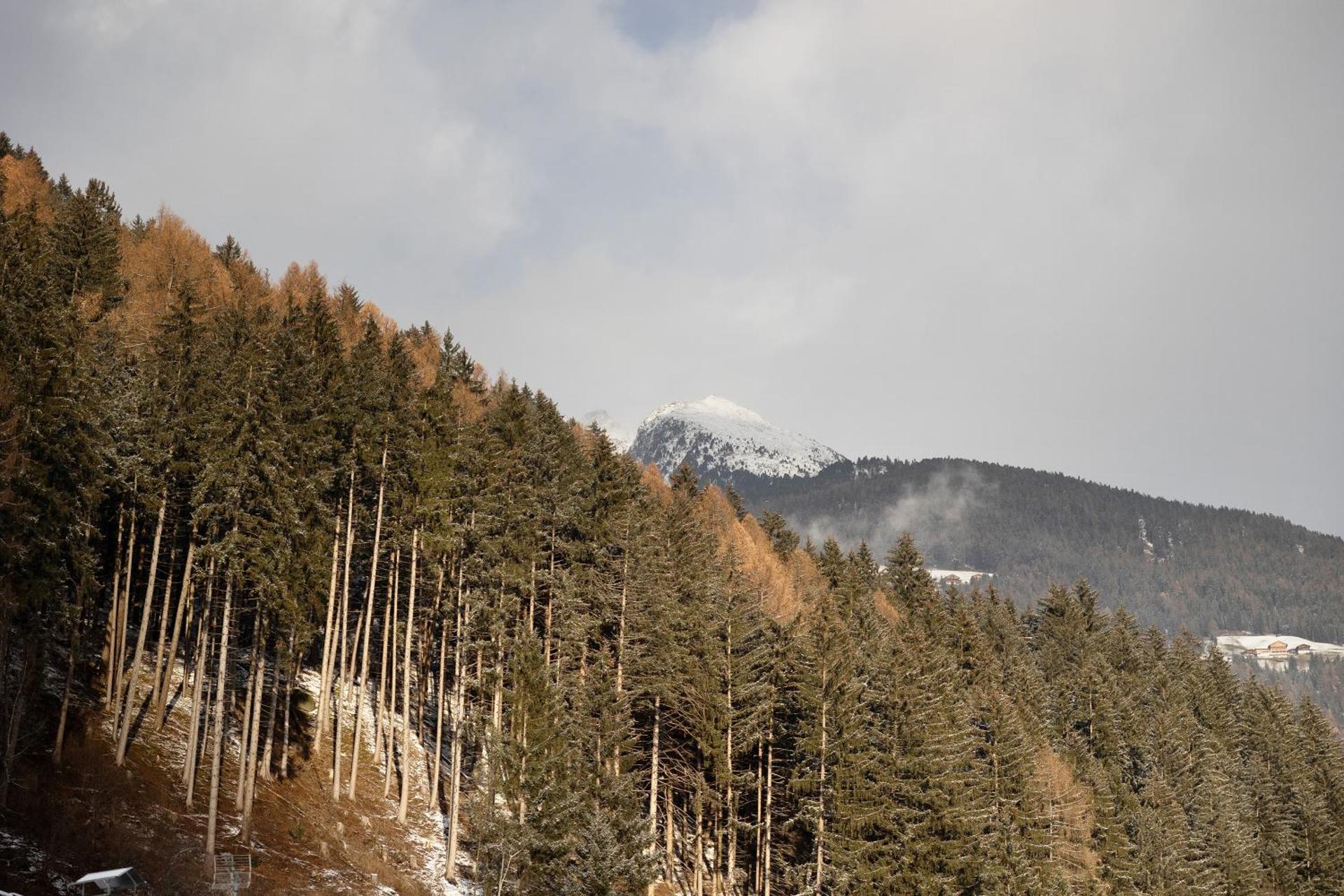 Loderhof Sand in Taufers